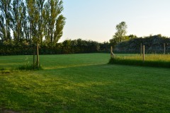 Pitching field